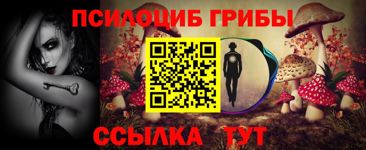 Галлюциногенные грибы Cubensis  Вход с VPN  Северодвинск 