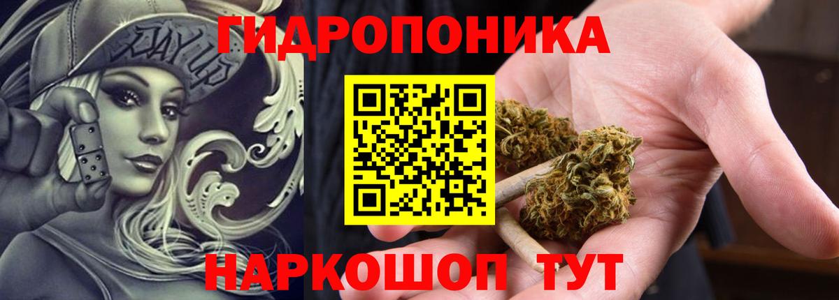 Канабис Bruce Banner  Шишки марихуана марихуана  Канабис сатива  Северодвинск  Канабис конопля  Вход с VPN 